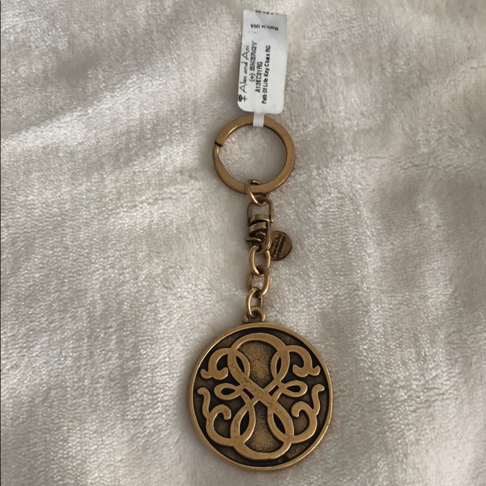 Alex And Ani Key Chain
